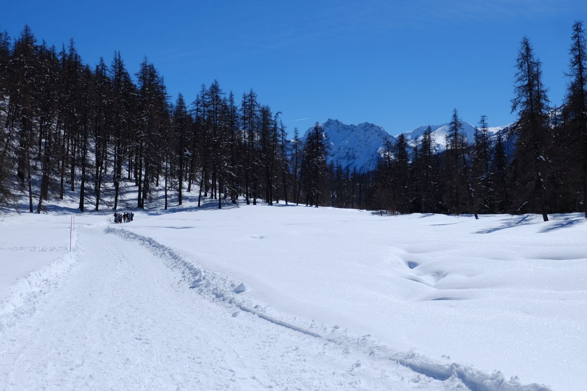 Plateau des Sagnes