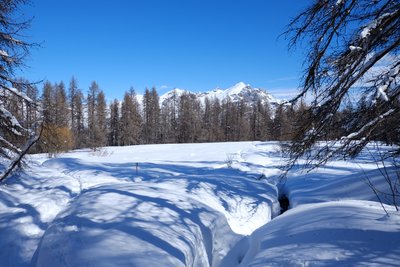 Clairière sous le lac des Hermes