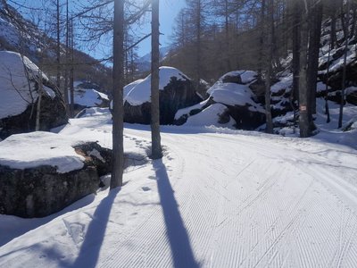 Les blocs de la Roche Ecroulée