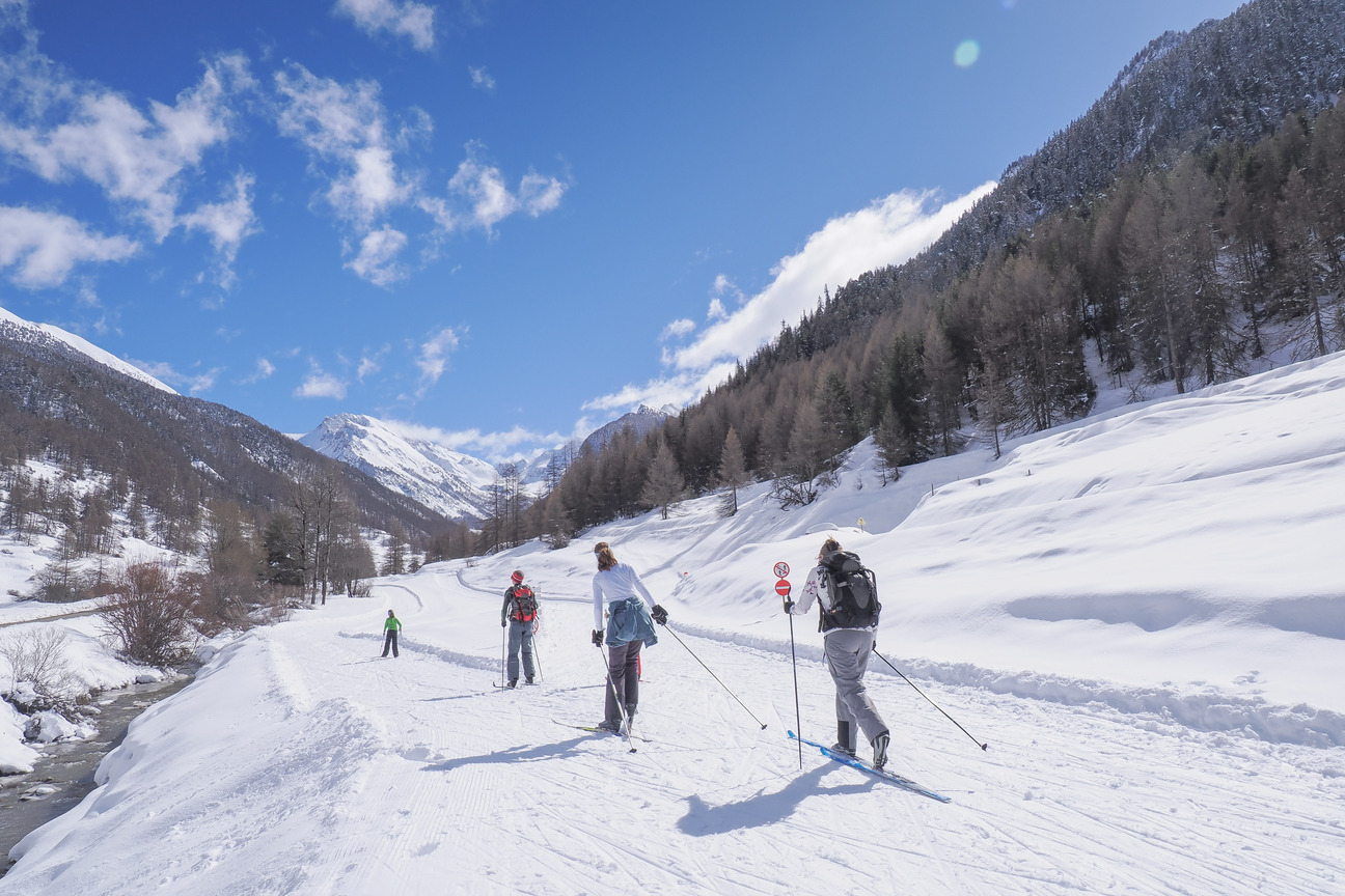 Départ des pistes, le long du torrent du Mélezet