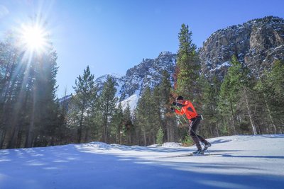 Skating dans la forêt du Planet