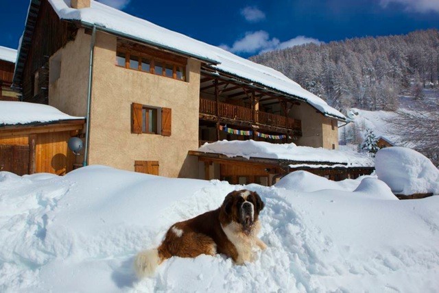 Chalet Viso