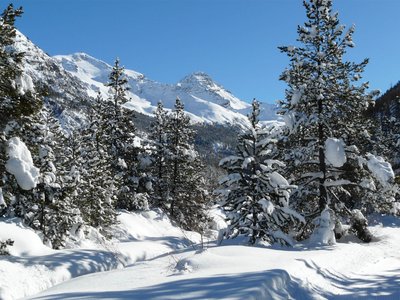 Ambiance nordique