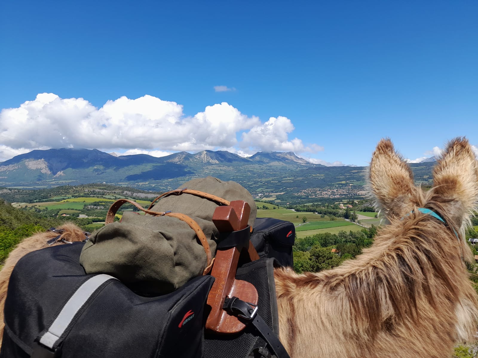 Vue sur Charance