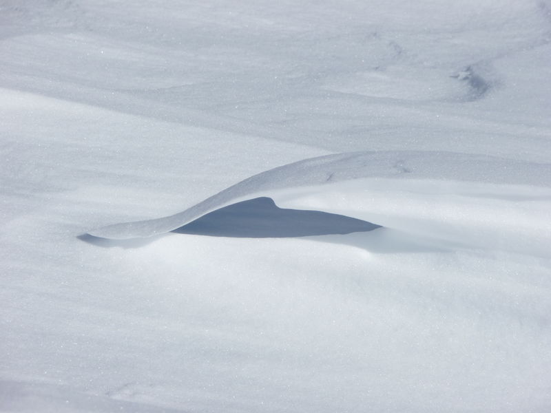 Vague de neige