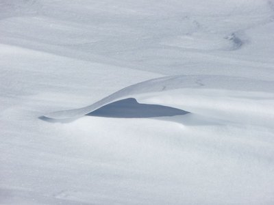 Vague de neige