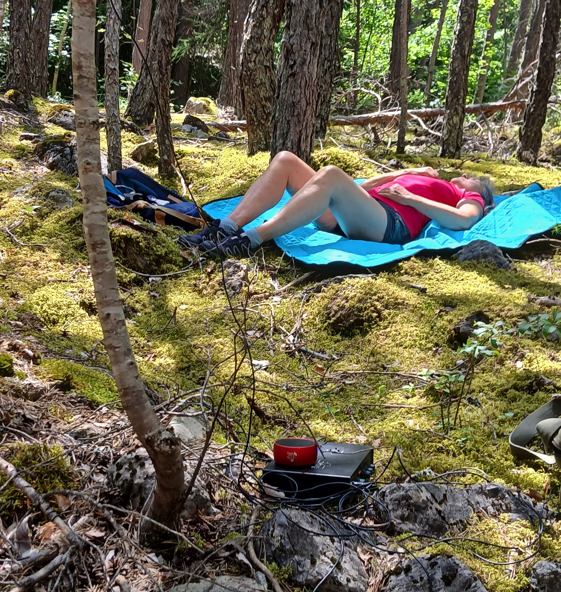 La forêt Arc-en-Ciel_Les Vigneaux