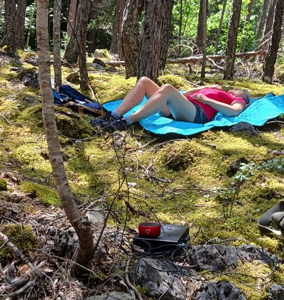 La forêt Arc-en-Ciel_Les Vigneaux