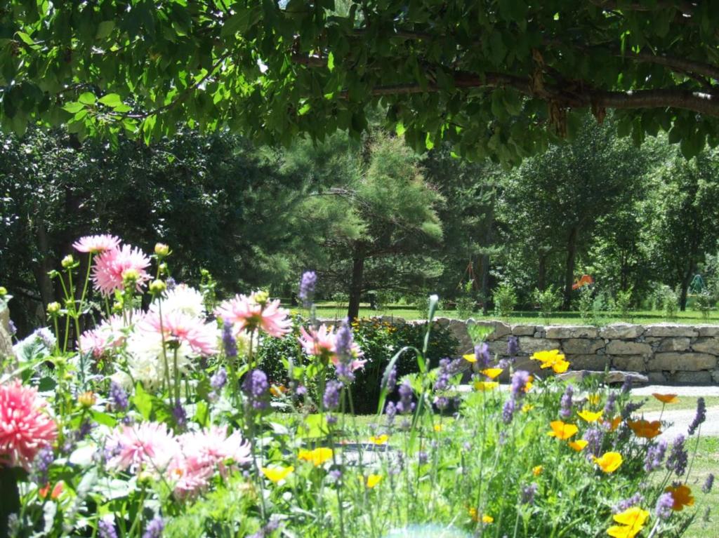 Intérieur camping en été