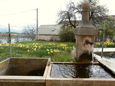 Fontaine