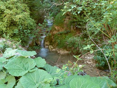 Gorges des Amayères