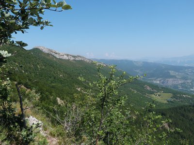 Vue panoramique