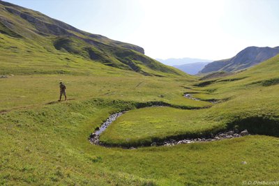 Vallon des Aiguilles