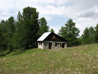 Cabane au milieu des prés