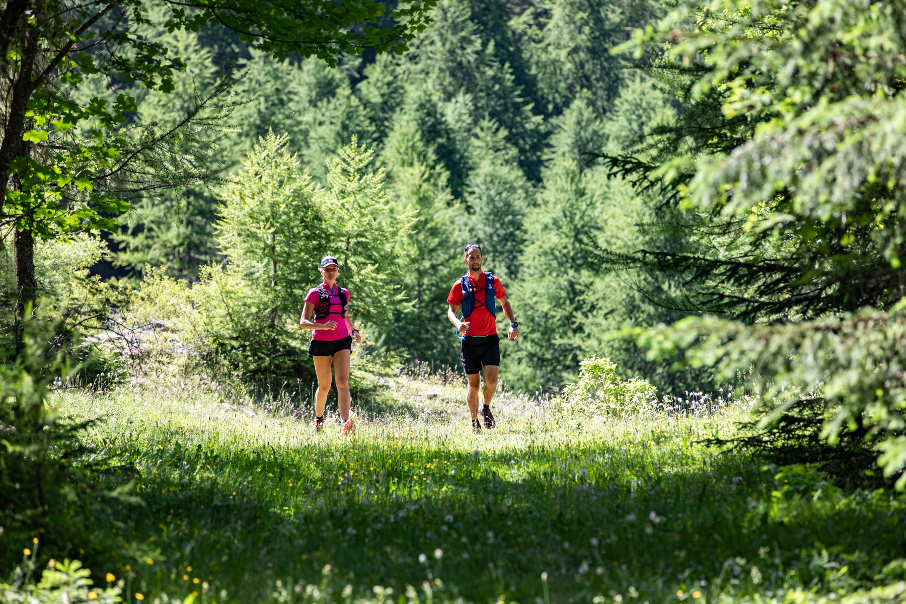 Forêt de Boscodon