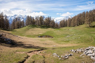 lac des poutilles aux Têtes