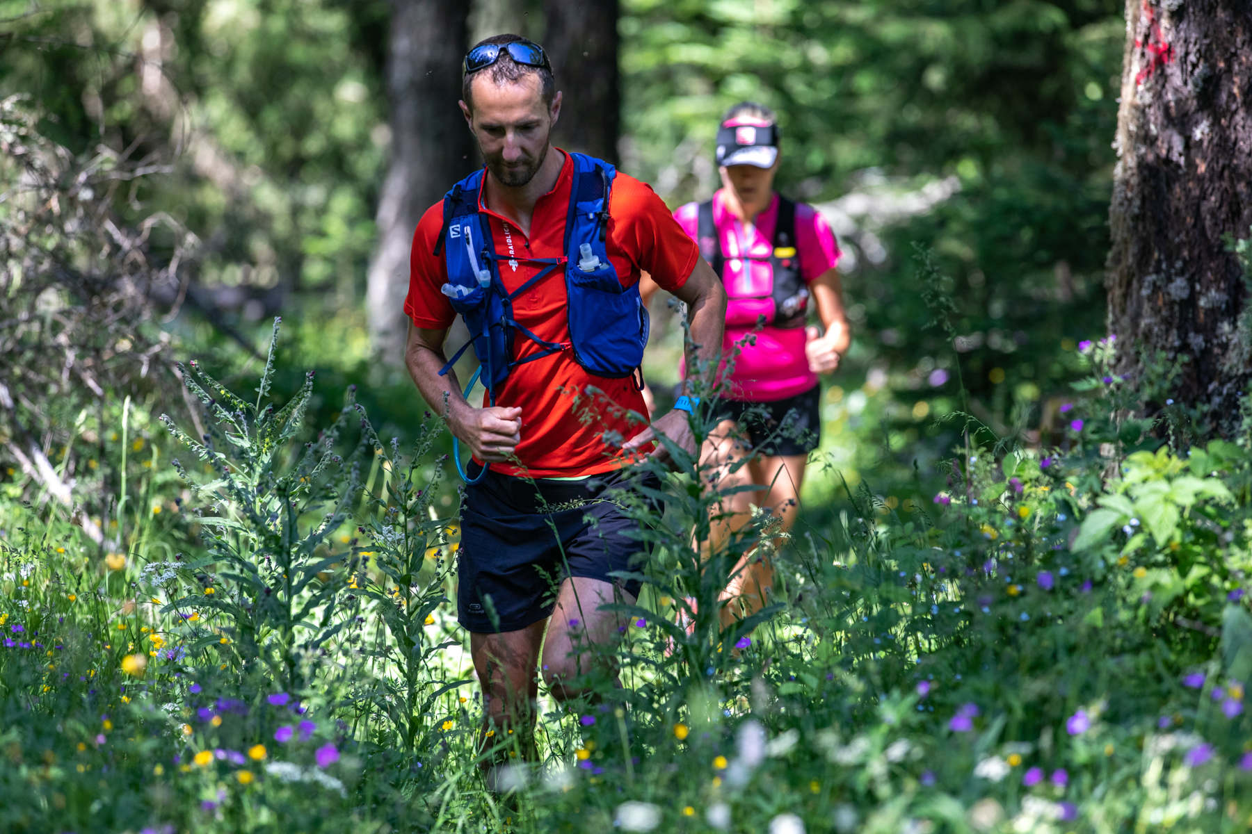 trail en forêt