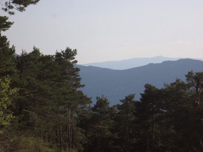 Panorama sur le Mont Ventoux au fond