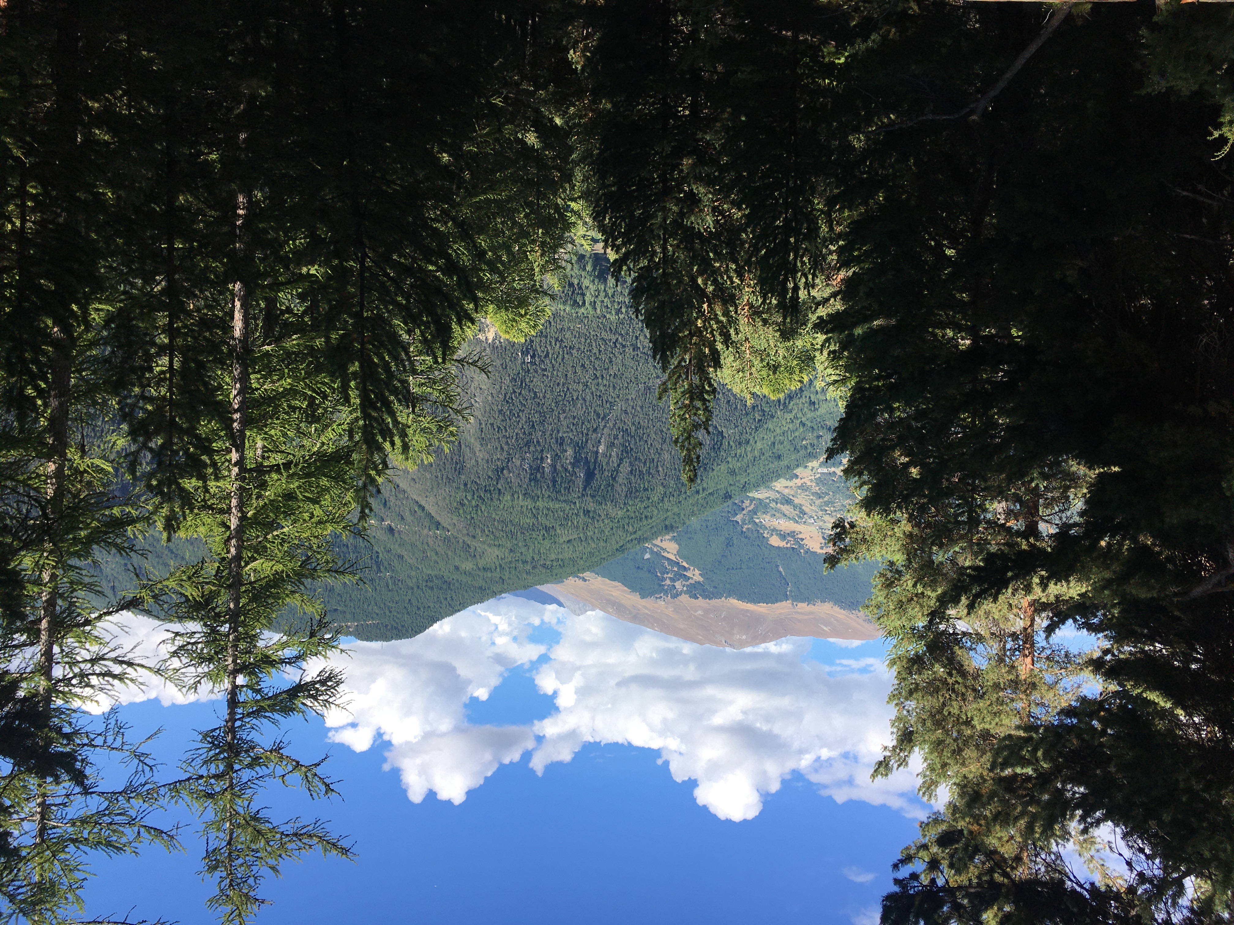 Belvédère du lac de Roue