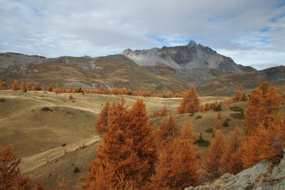 Le Pic de Rochebrune surplombe le vallon et le col de Péas