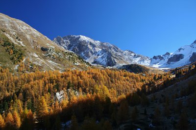 Vallon du col Tonchet