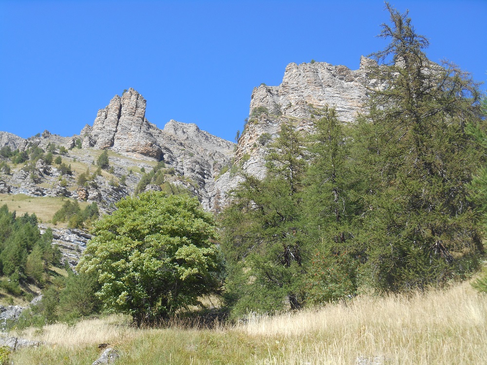 Les crêtes dominent le sentier