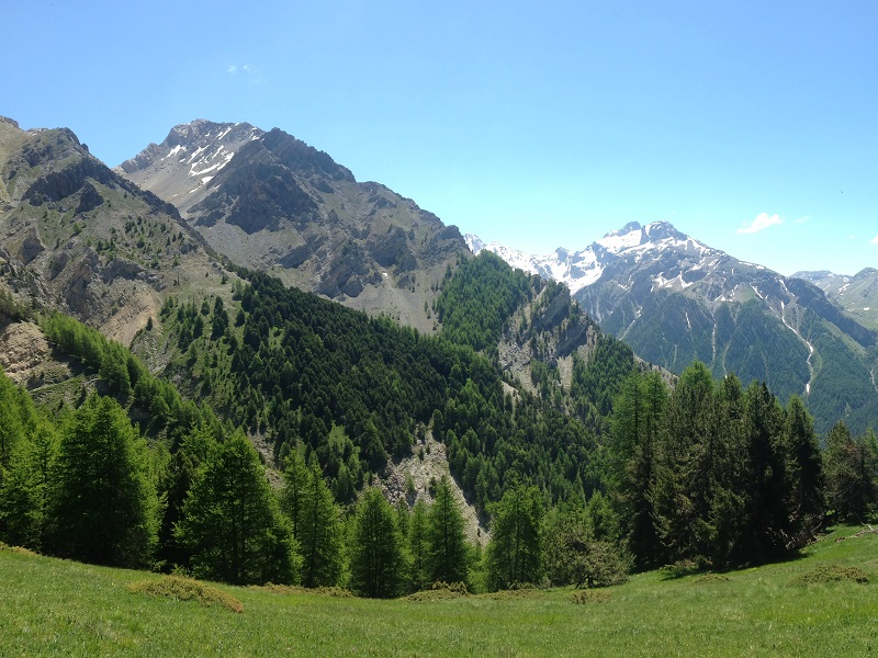 Alpages et forêts du Val d'Escreins