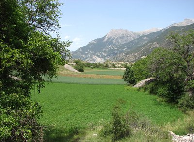 Prairies vers Champcella