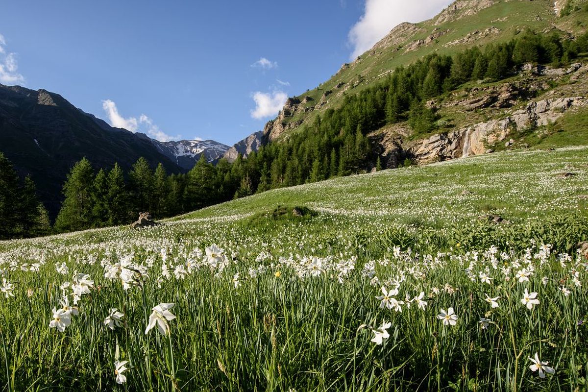 Sentier de l'Oussella