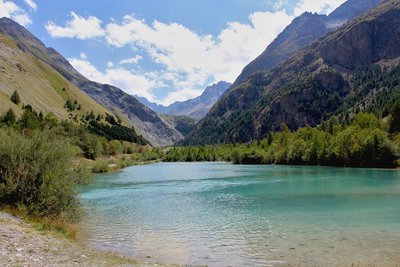 Le plan d'eau et les Agneaux