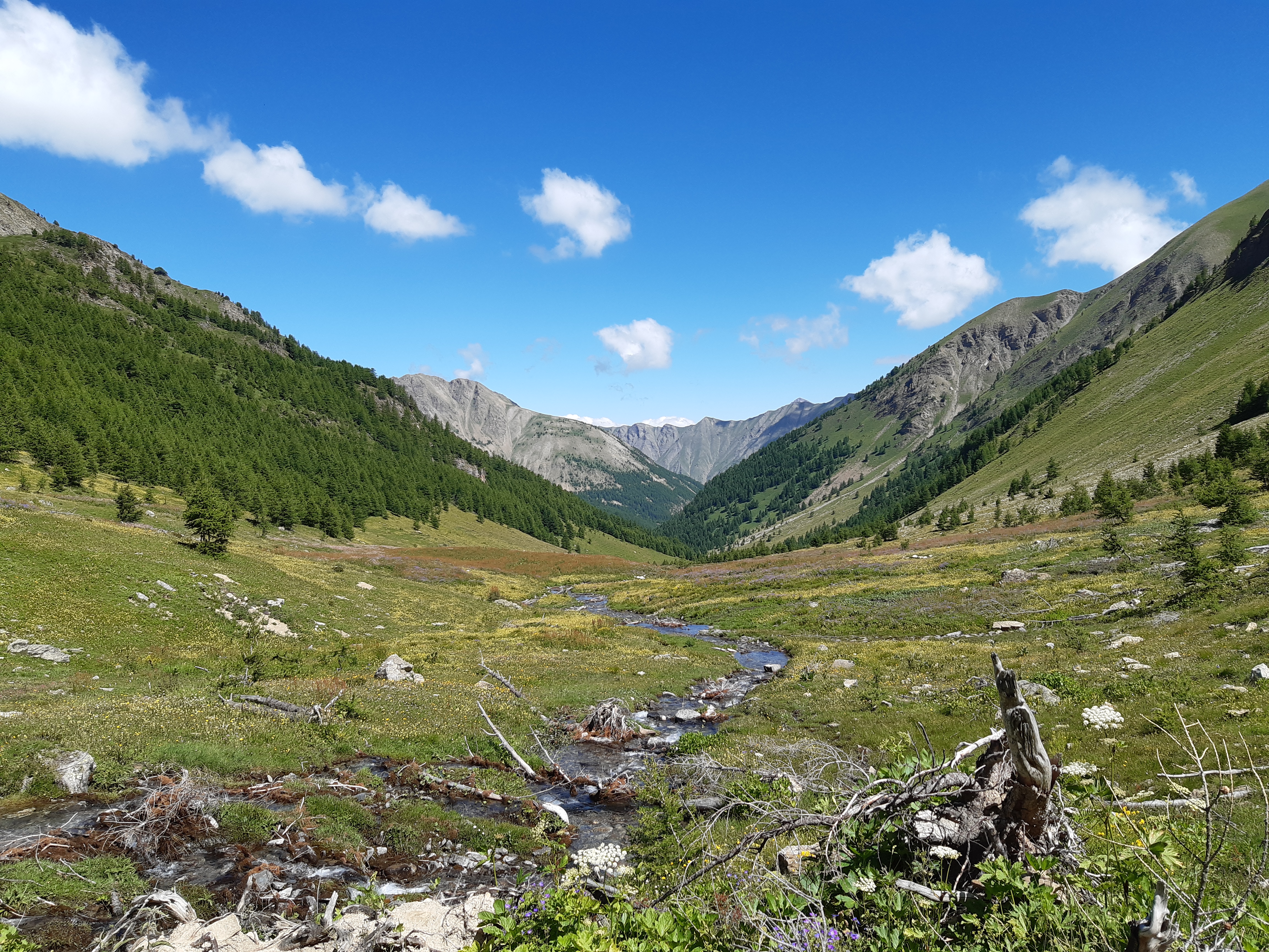 Les alpages sous le col