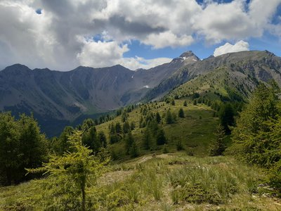 Sur la crête du Lauzet