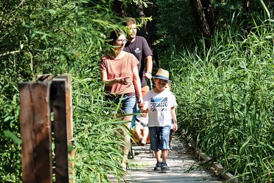 Sur le sentier du Liou