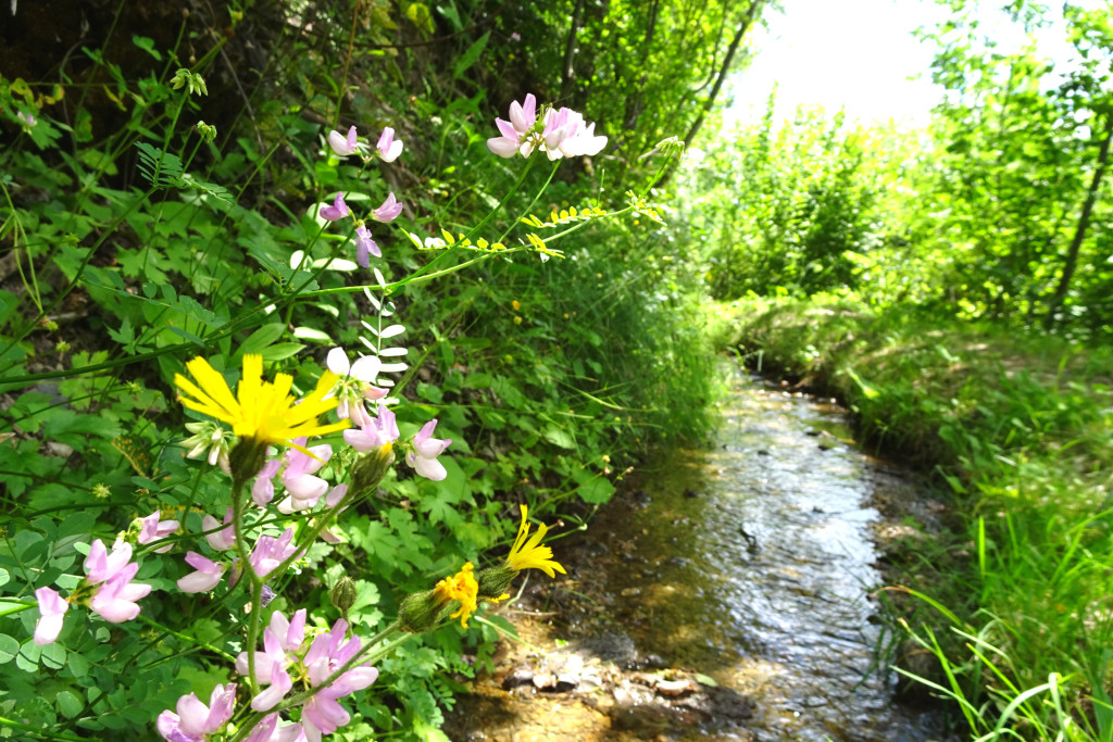 Le Canal du Béal Neuf