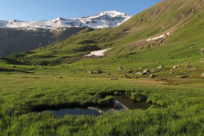 Alpage au Saut du Laire