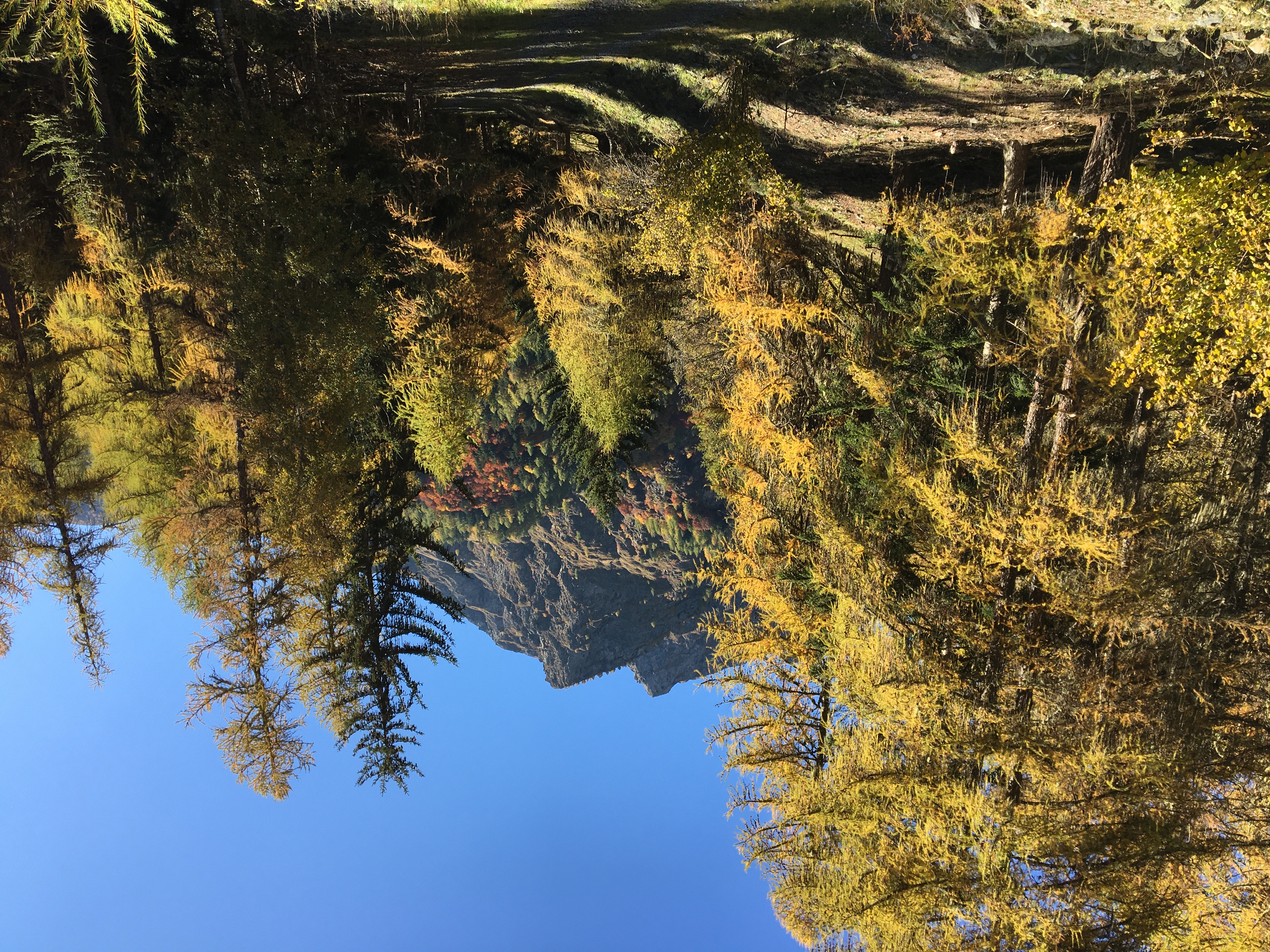 Sur le sentier du Roy