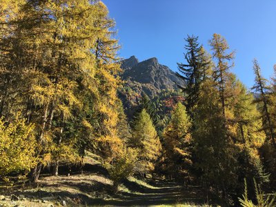 Sur le sentier du Roy