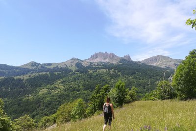 Passage dans un prés avec vue sur le Pic de Chabrières