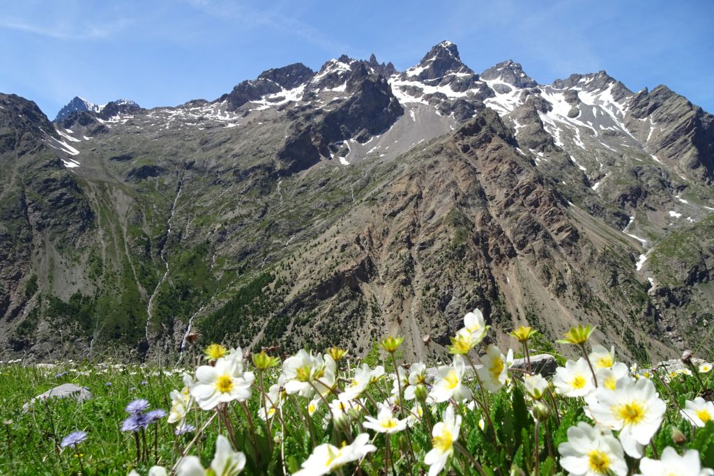 Sur les traces des bergers