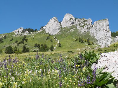 Les environs de La Cluse