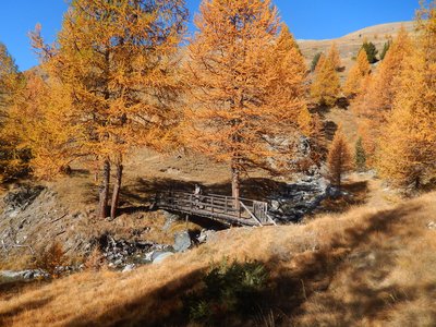 Passerelle sur le torrent de Péas