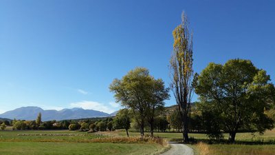 Paysage champêtre