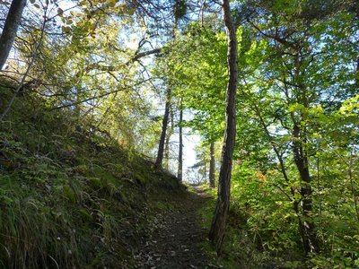 La belle forêt domaniale de Moyenne Durance