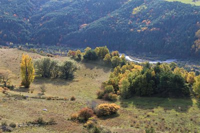 Rives du petit Buëch