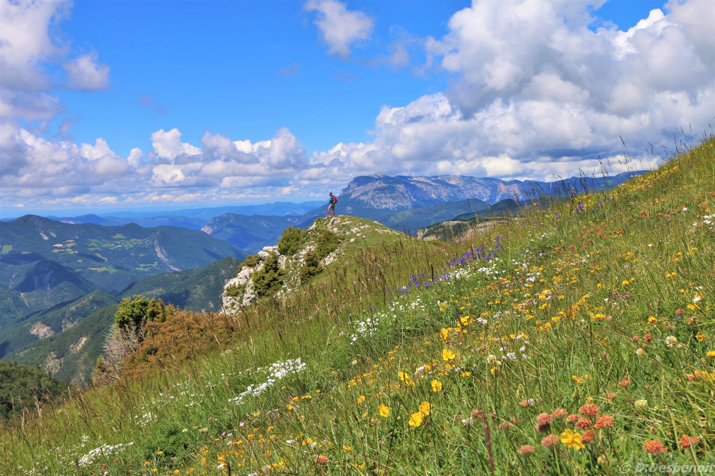 Sur les crêtes du Quigouret