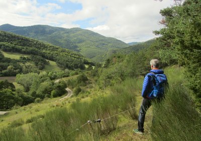 Depuis les hauteurs de Montbrand