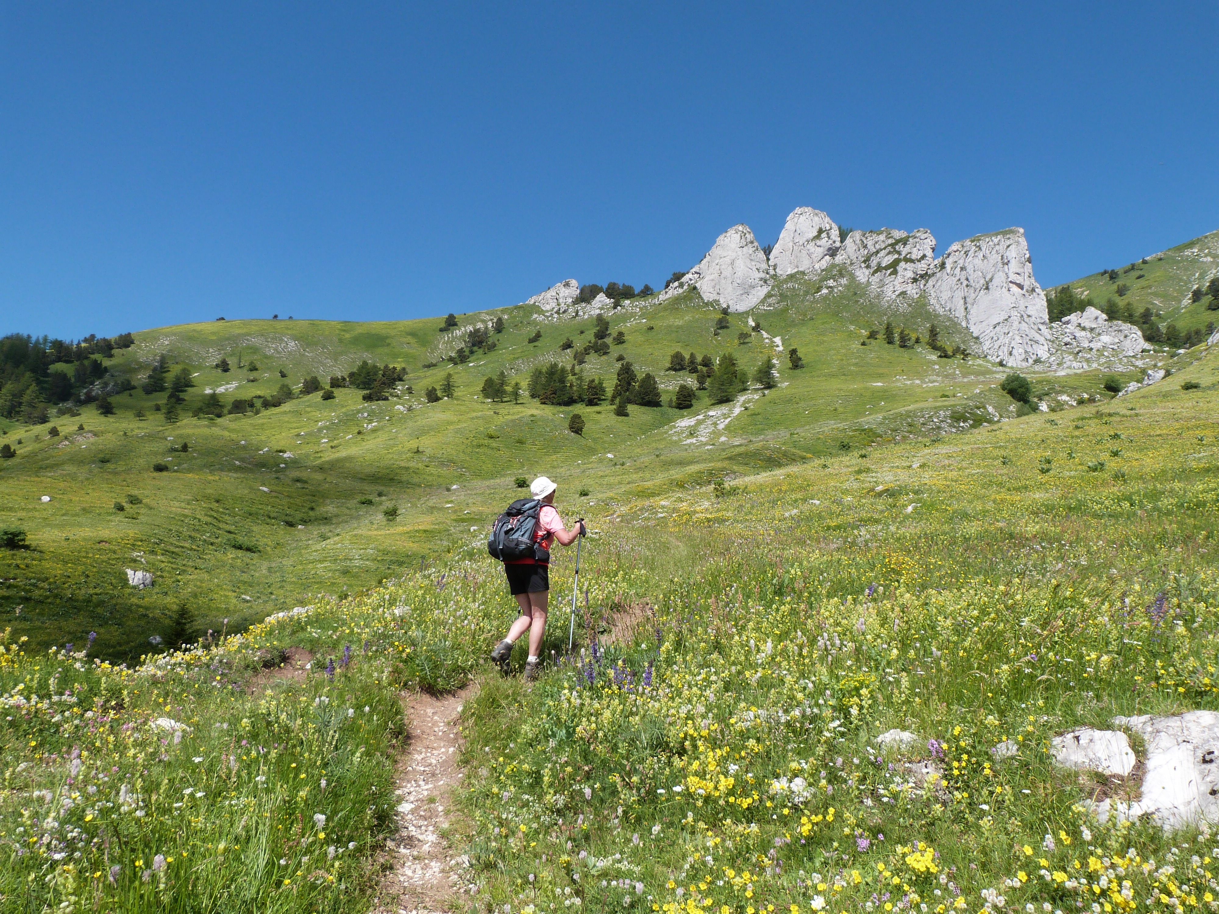 Traversée des pâturages peu après La Cluse