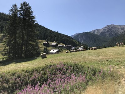 La Chalp de Saint-Véran