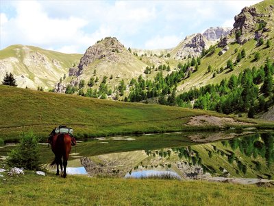 lac du Lauzet