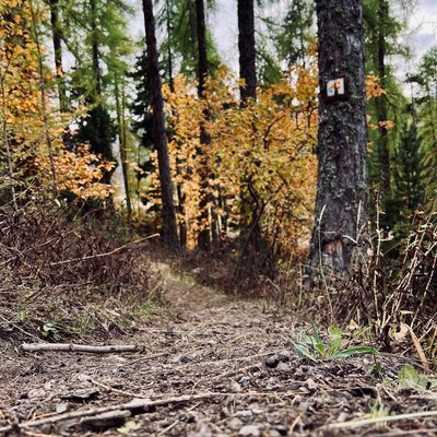 Single de descente aux Orres